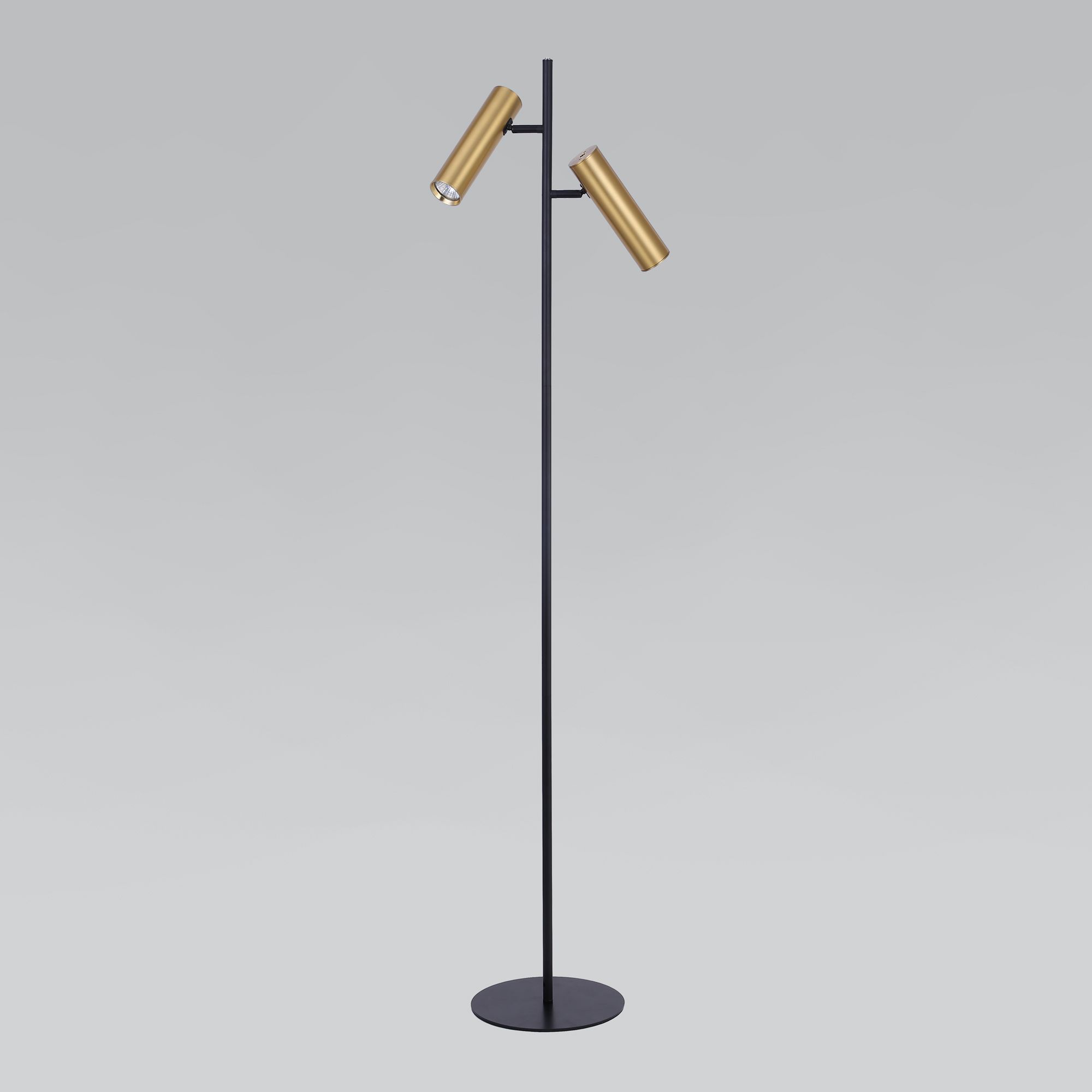 Торшер Eurosvet Barre 01087/2 Brass
