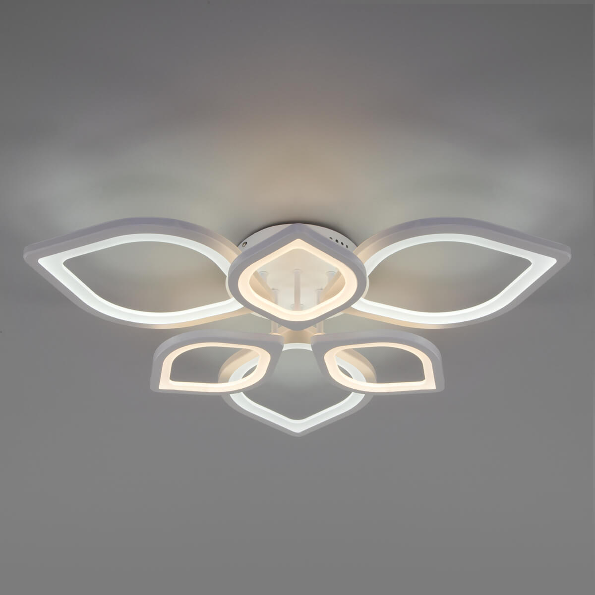 Светильник потолочный Eurosvet Garden 90228/6