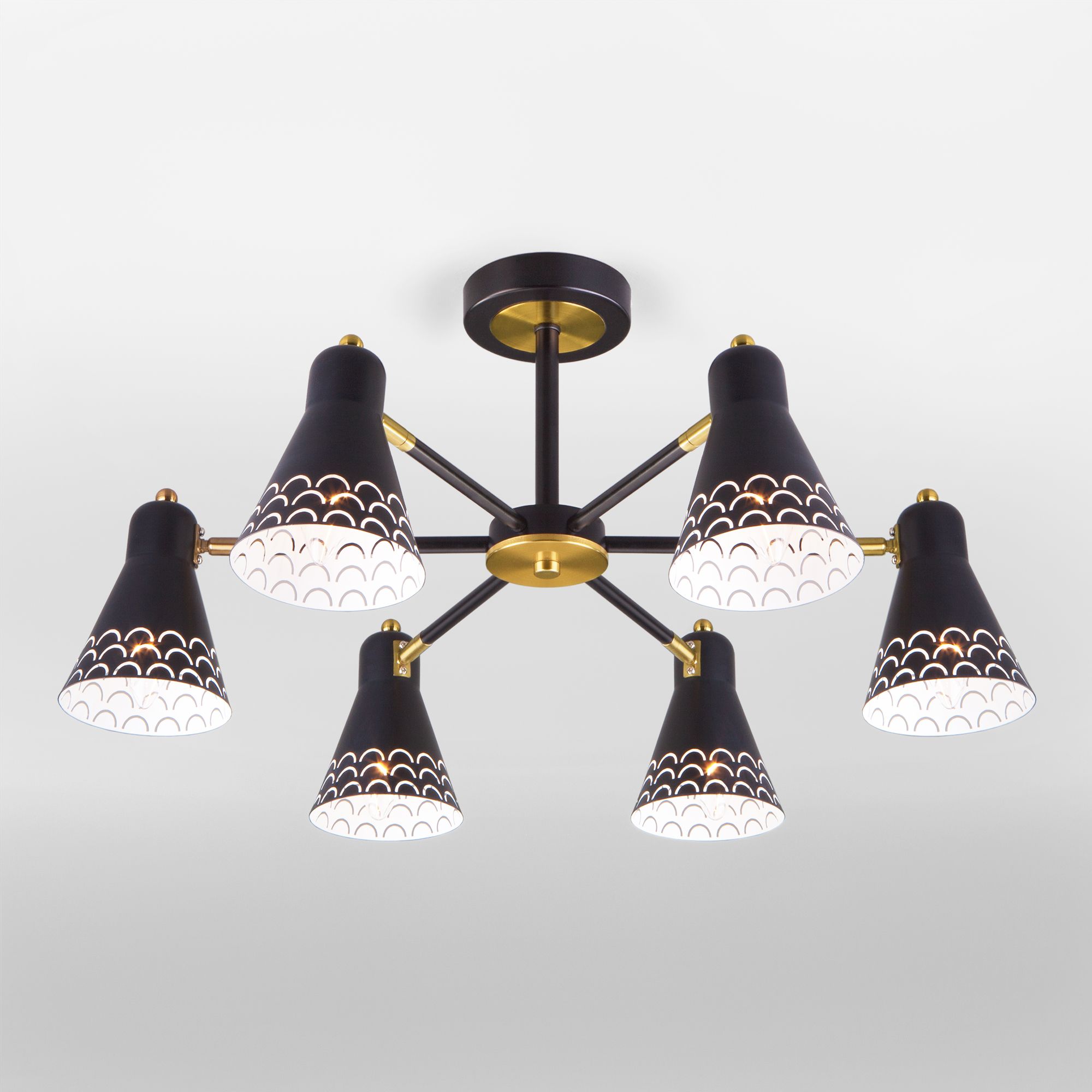 Потолочная люстра Eurosvet 70100/6 черный